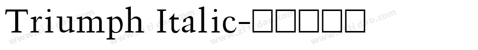 Triumph Italic字体转换